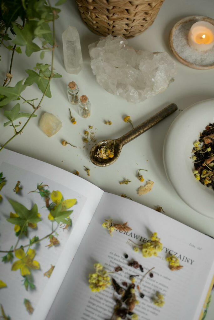 pexels gabby k 20419192