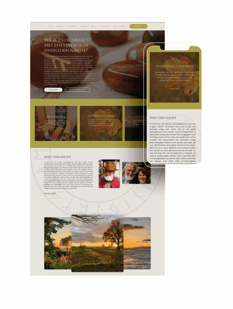 martien van de hoeve website voorbeeld